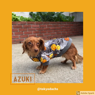 愛犬のキルティングジャケット(2日間)