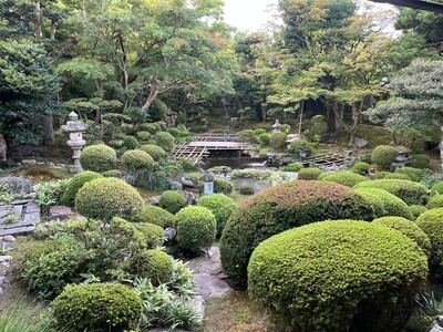 11/15(土)  音の宴　五十嵐羅紗店が紡ぐ～紅葉の調べと装いの舞～　＠陽願寺 特別席