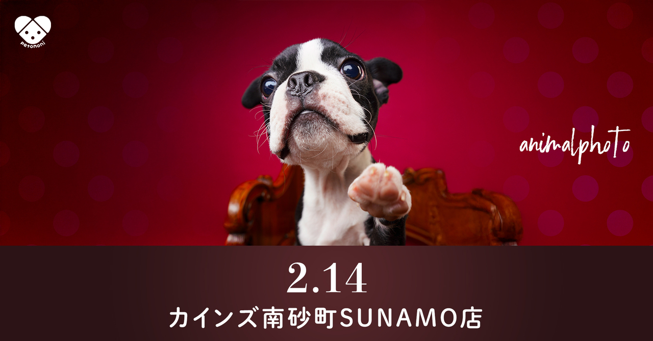 東京都【カインズ南砂町ＳＵＮＡＭＯ店】2026年2月14日（土）