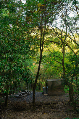 【年末年始】金のサウナ【貸切利用】