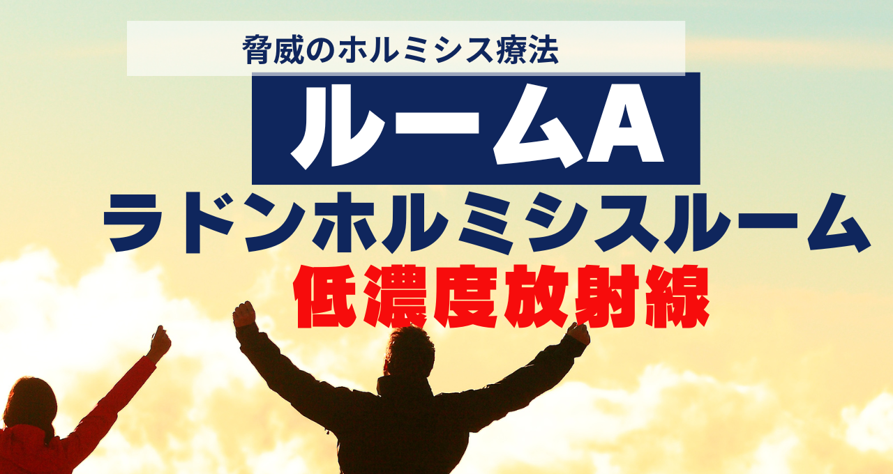 ラドンホルミシスルーム（Aルーム）