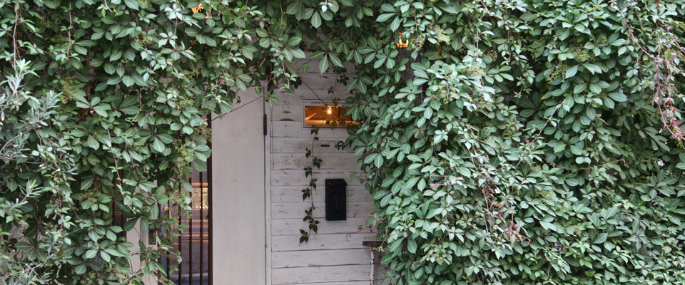 CHERRY BROWN 直営店