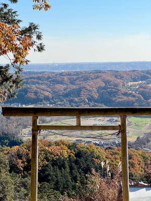 ［2/11］早春の宝登山ハイキング（モニターツアー）