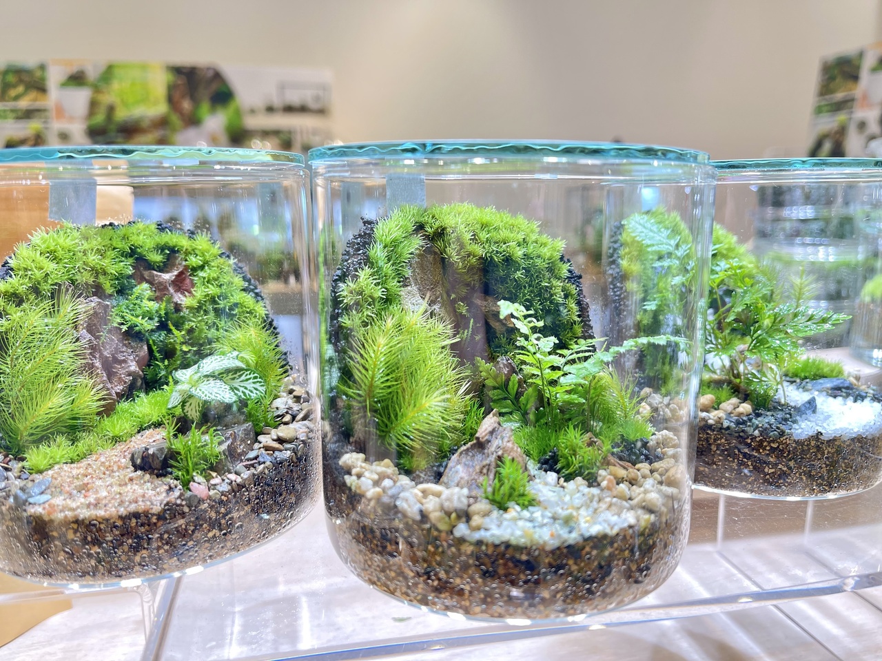 【仙台アエル店】壁面緑化編　癒しのインテリアグリーン　苔テラリウムワークショップ