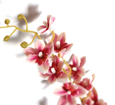 しめ縄飾りワークショップ2025＆正月アレンジメント