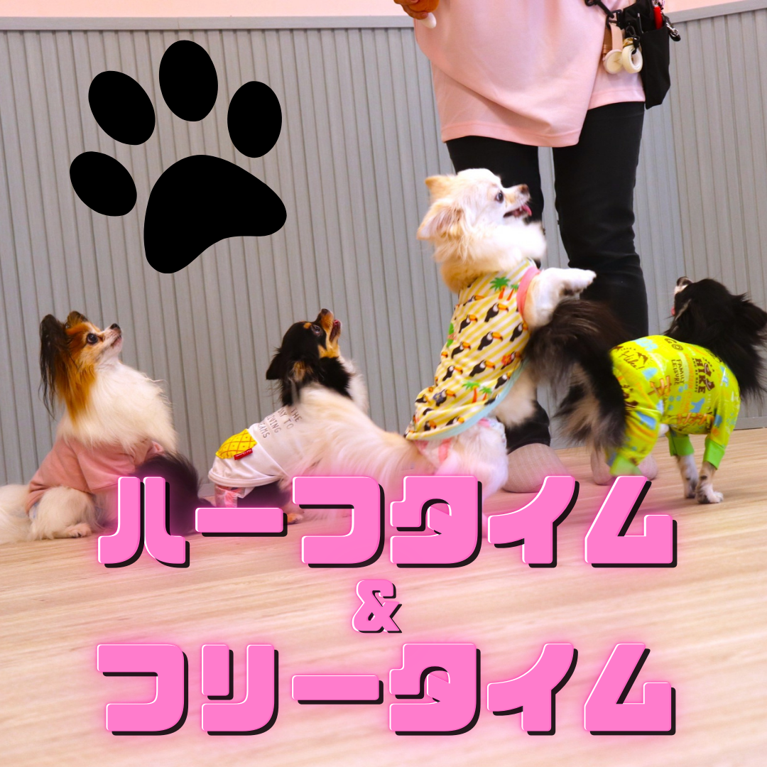 ハーフ&フリー タイム