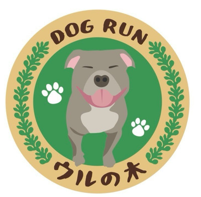 ゆったりと貸し切りドッグラン