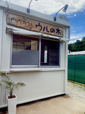 ゆったりと貸し切りドッグラン