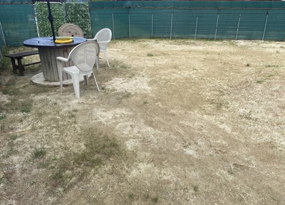 ゆったりと貸し切りドッグラン