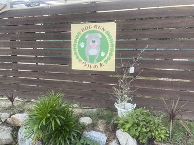 ゆったりと貸し切りドッグラン