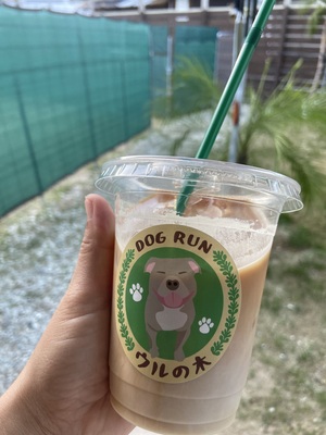 ゆったりと貸し切りドッグラン