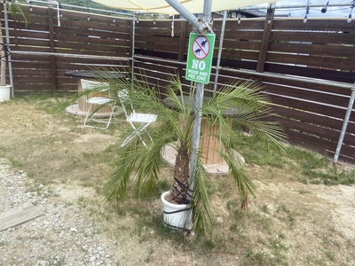 ゆったりと貸し切りドッグラン