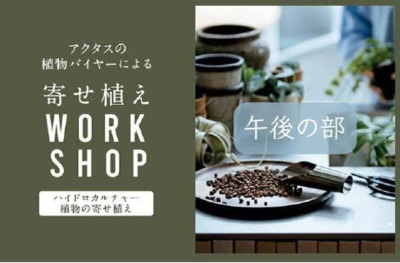 ＼ ワークショップ ②午後の部 ／ アクタスの植物バイヤー曽我氏による、ハイドロカルチャー寄せ植え