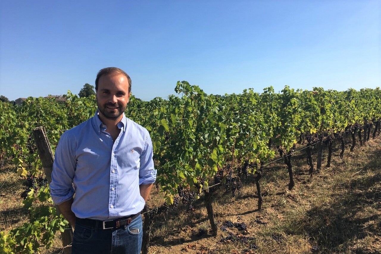 【神戸・Pカード会員様】≪ランチ≫神戸の旬を、ボルドーワインと楽しむ会