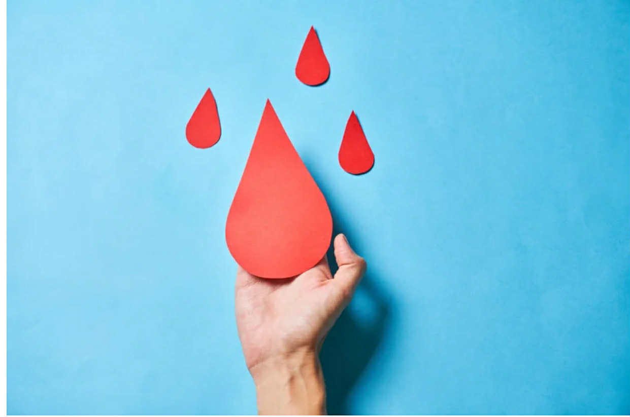 鉄不足撃退セミナー