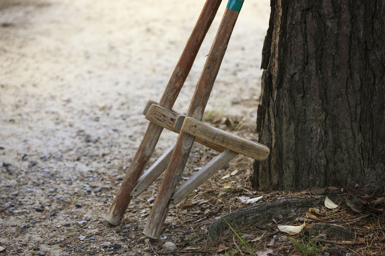 【文化講座】11/8原和人先生の俳句教室