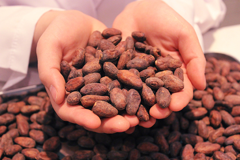 【cacao lab.】親子コース(※保護者1名、お子様1名)