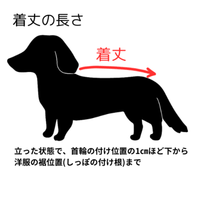 【岡山本店】わんこ服体験会(ふわふわフード付きトレーナー)