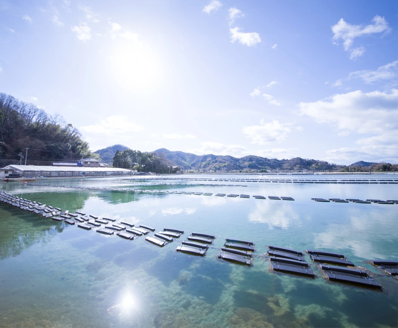 養殖牡蠣体験_瀬戸内プログラム_ポケマルおやこ地方留学2025夏