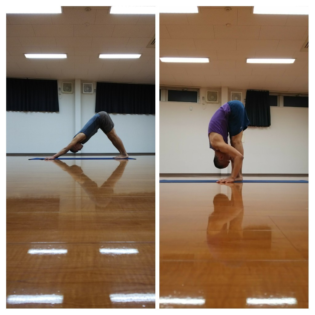 5/12(土) アーサナ徹底解剖!~ダウンドッグ・ウッターナアーサナ~ ※限定8名~