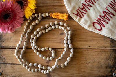 マハヴァター・ババジデイ2025