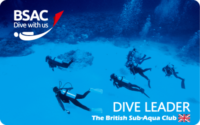 DIVE LEADER　ダイブリーダー(DL)