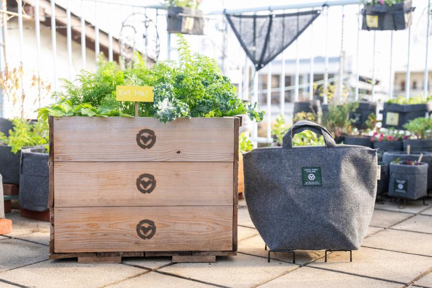 半農都会人講座（栽培キット付）［初級編／３回連続］12/14（日）初回開催