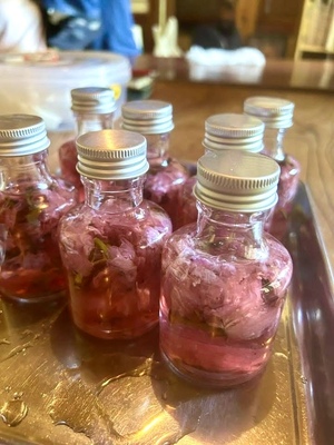 🌸 桜摘み取り・塩漬け・桜シロップ ピクニック会2026 🌸