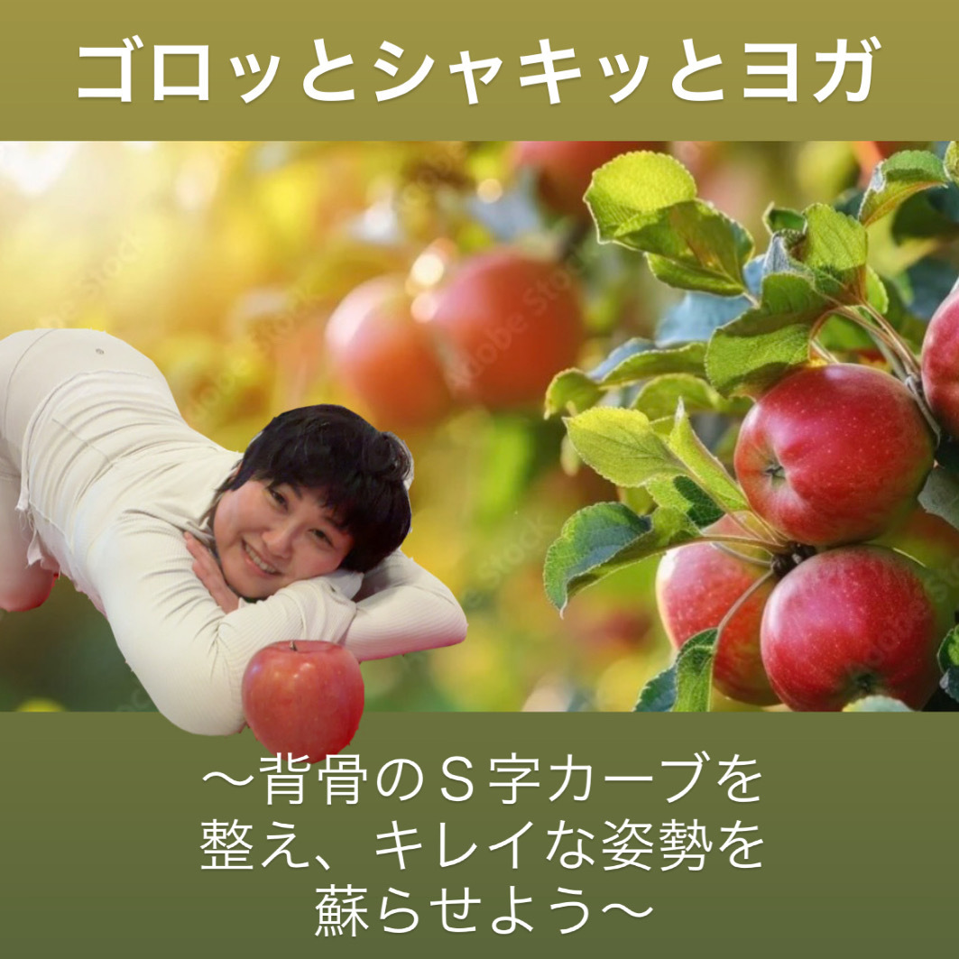 【ゴロッとシャキッとヨガ】りんご ★☆☆☆☆🔰