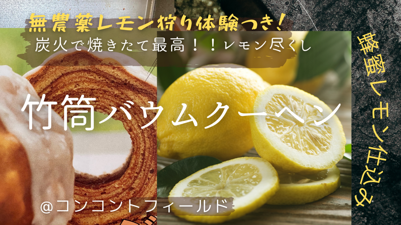 <大人気企画!>無農薬レモン狩りと&炭火で竹筒レモンバウムクーヘン作り2025