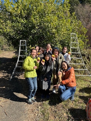 ＜大人気企画！＞無農薬レモン狩りと＆炭火で竹筒レモンバウムクーヘン作り2025