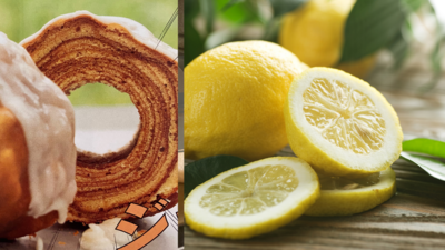 ＜大人気企画！＞無農薬レモン狩りと＆炭火で竹筒レモンバウムクーヘン作り2025