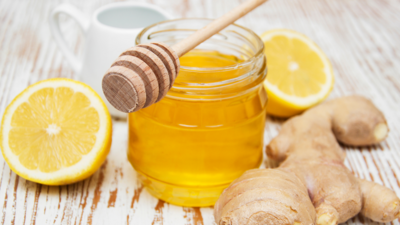 ＜大人気企画！＞無農薬レモン狩りと＆炭火で竹筒レモンバウムクーヘン作り2025