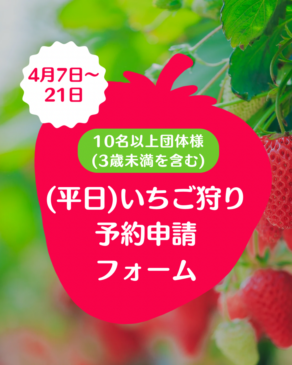 【 10名様以上　団体　4月7日〜4月21日　いちご狩り 予約フォーム 】