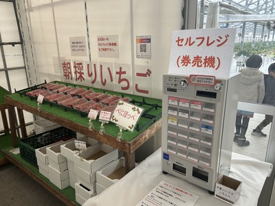 【 10名様以上　団体　4月7日〜4月21日　いちご狩り 予約フォーム 】