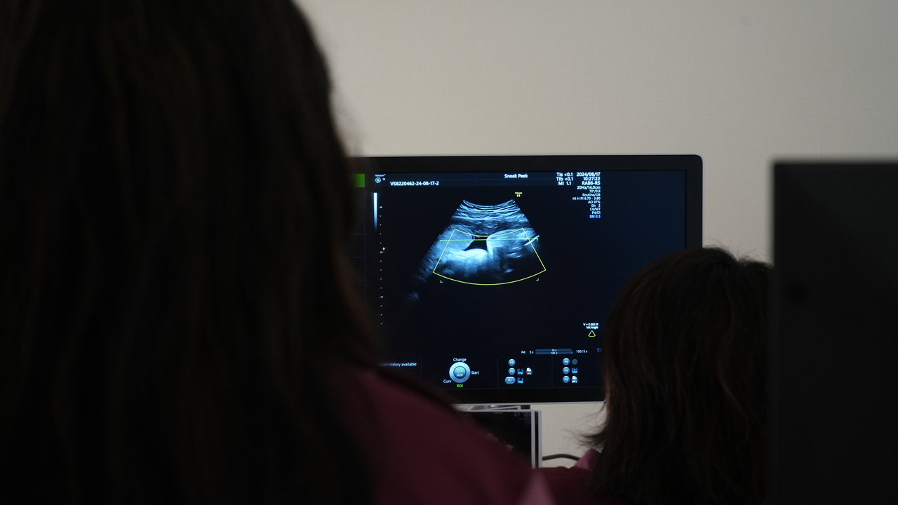 Medical Consultation by Doctor