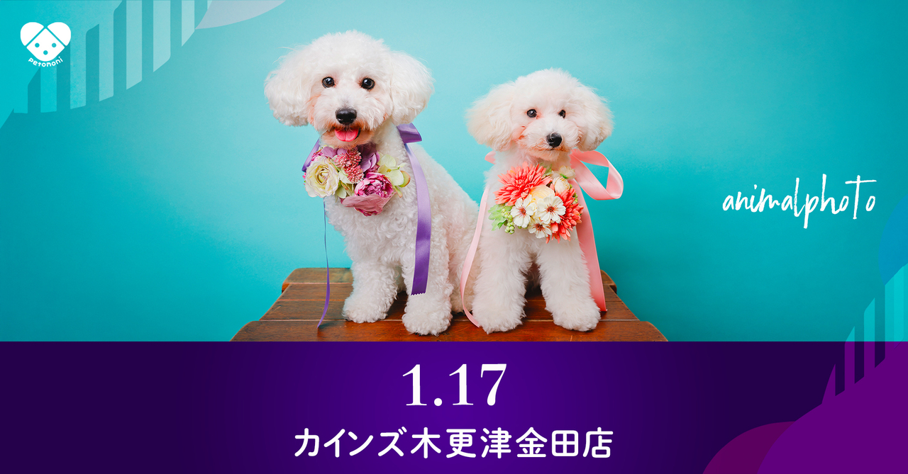 千葉県【カインズ木更津金田店】2026年1月17日（土） 