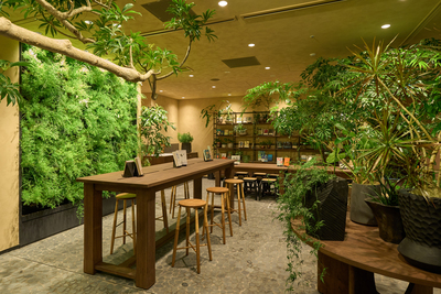 【ニュウマン高輪/金糸雀の庵】四季折々の練切り講座（桃の節句）