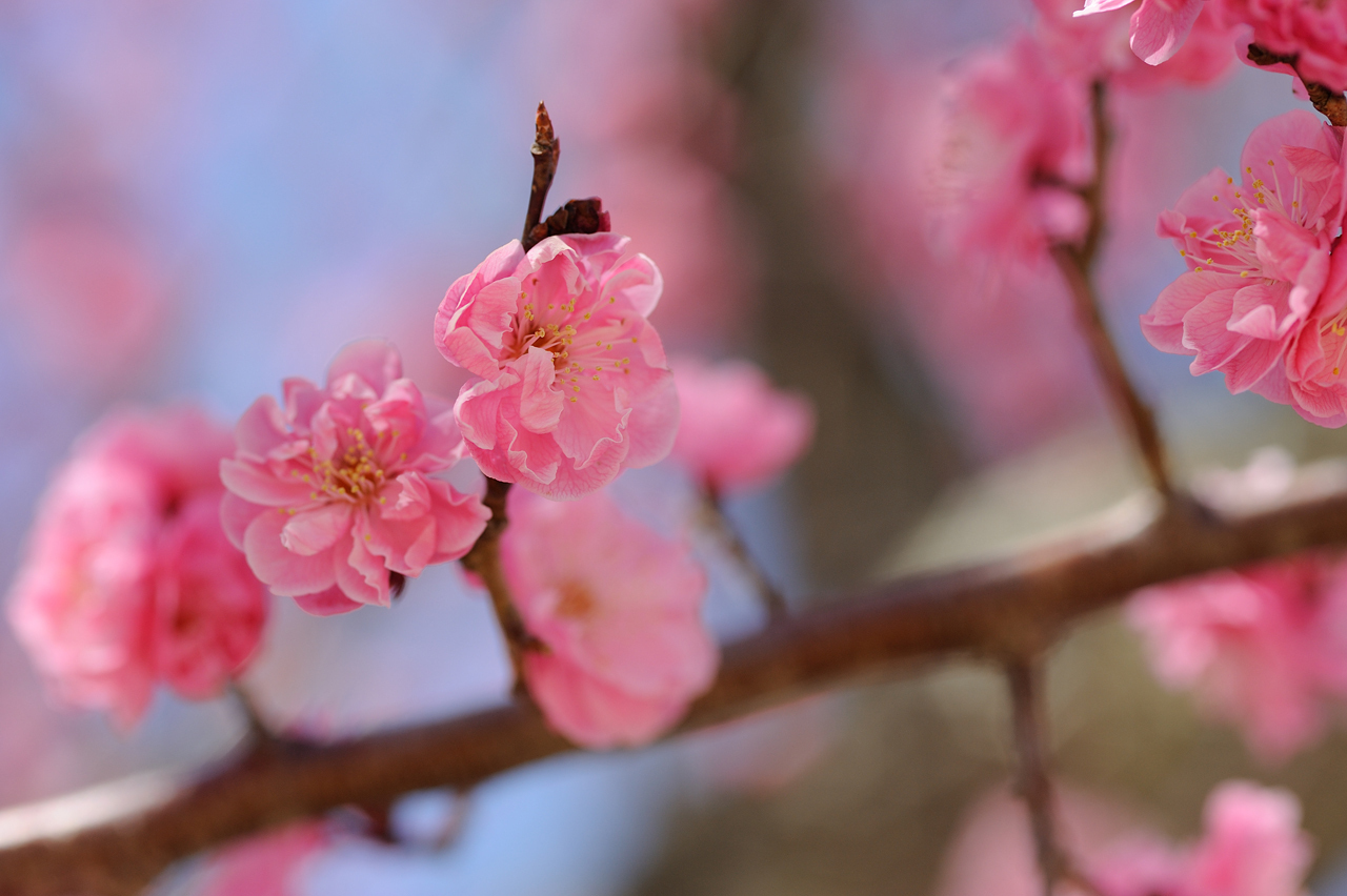 山撮り写真教室