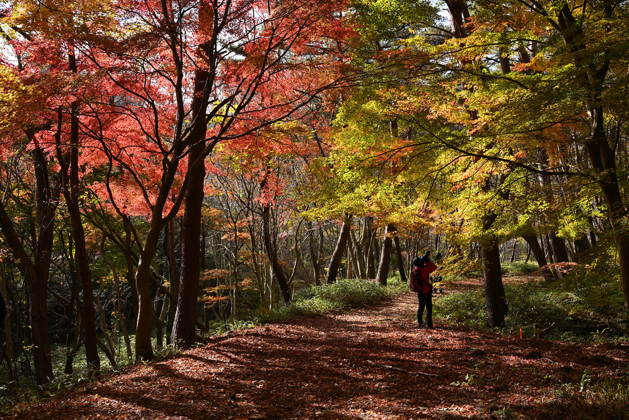 山撮り写真教室