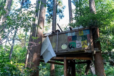 【12/7】おやこ学部・逗子　お山の中で本気の開催！「逃走中」