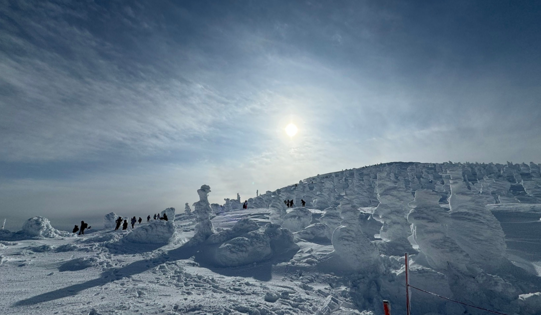 【2025年11月20日（木）】　冬山デビュー応援！スノーシュー＆ワカン装備入門講座　