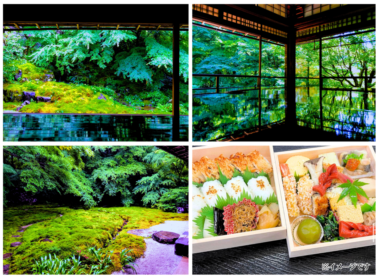 【受付終了】瑠璃光院の青もみじと堺萬の特選弁当を楽しむ