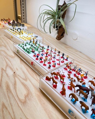 【 仙台アエル店】12月全4回　苔テラリウム教室　Terrariums sendai