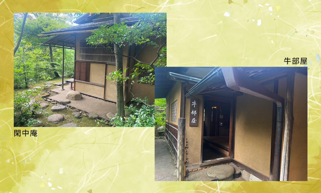 習いの会(お客様の所作のみ)9:45/11:45/13:45