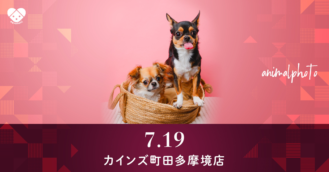 東京都【カインズ町田多摩境店】2025年7月19日（土）