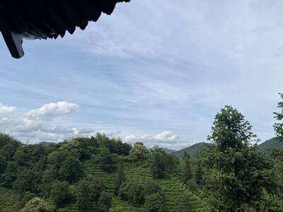 Uf-fu✖️香kou   紅茶の魅力 〜素敵なお茶時間〜vol.2