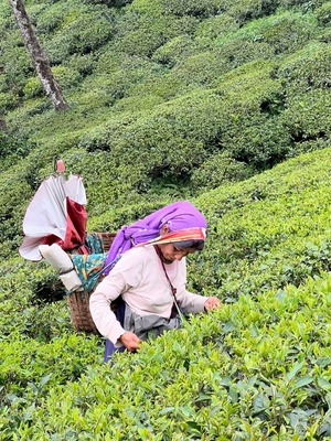 Uf-fu✖️香kou   紅茶の魅力 〜素敵なお茶時間〜vol.2