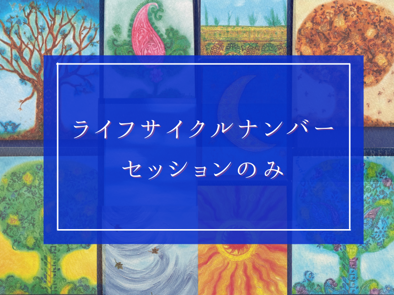 ライフサイクルナンバーセッションのみ