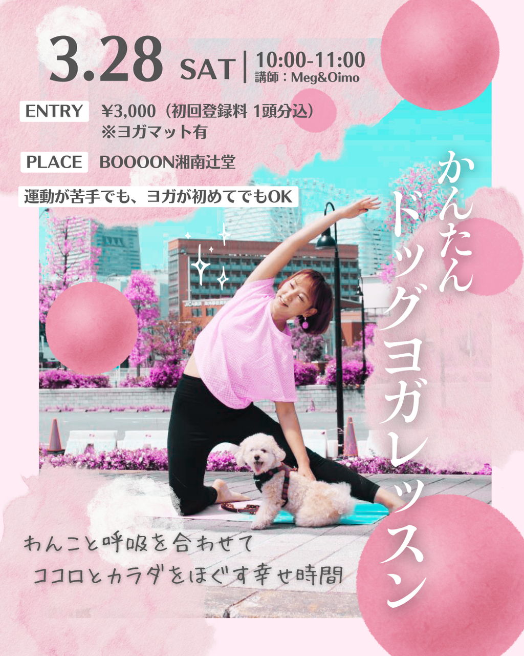 【EVENT】3/28 10:00 DOG YOGA LESSON